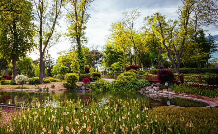 Pruning and seasonal planting during Naturevalley garden maintenance in Pakistan