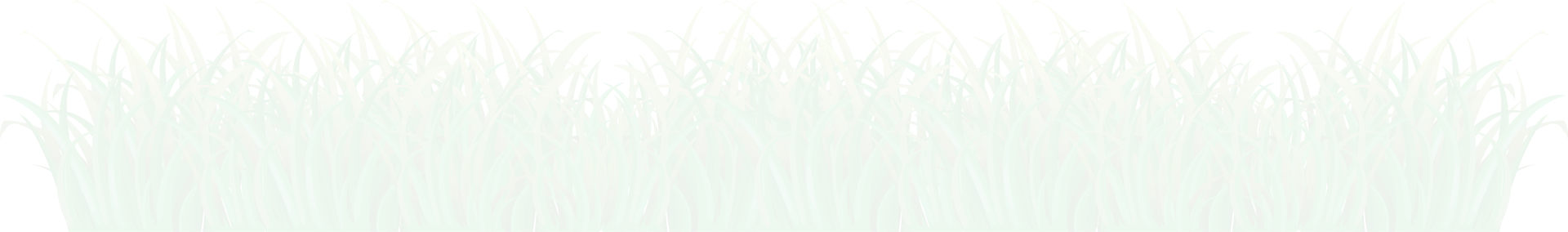 Decorative botanical leaf illustration
